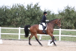 SBM_017522