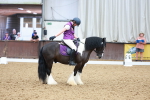 SBM_006181