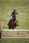 BVHT 140517  IXC -419