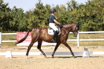 SBM_006534