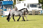 SBM_01574