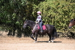 WJ6_7944