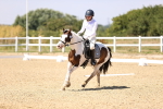 SBM_004838