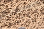 231015A-143220-08725