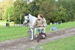 402-UNNAMED.(815633)-Harriet.Constable-TrotUp+SJ portfolio