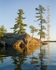 LMusktrees28web