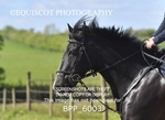 BPP_6003