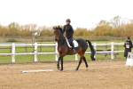 SBM_001365