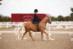 SBM_05327