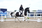 SBM_04943