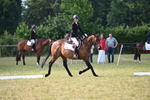 WJ6_5660