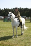 Class 33-38 - SSADL RIHS Qualifiers portfolio