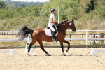 SBM_003275