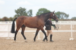 SBM_07966