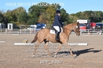 BPP_8387