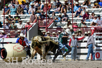 _DSC1277