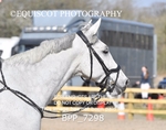 BPP_7298