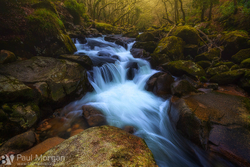 Shaugh To Fall
