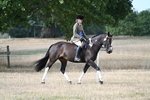 WJ7_7642
