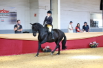 Class 904 - Supreme Final - Ridden Diamond portfolio