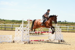 SBM_005901