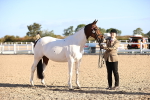 SBM_08369