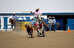3HRodeo8-11-25_PRCASteer_07954_CTownsend