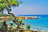 Cyprus