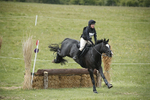BVHT 140517  NXC -233