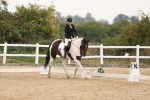 SBM_01799
