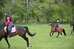 WJ6_3497