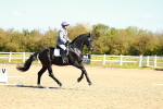 SBM_000195