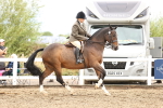SBM_00376