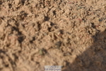 230906A-100036-00008