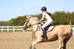 SBM_002588