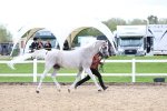 SBM_03930
