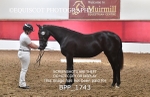 BPP_1743