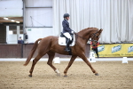 SBM_004456