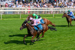 100726-Race 4-Illys Roo-0299