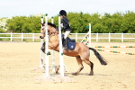 SBM_007860