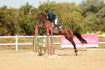 SBM_003887