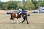 WJ6_5986