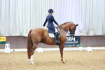 SBM_007800