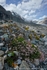 Grossglockner Valley I