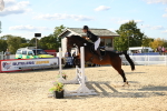 SBM_27336
