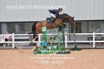 BPP_4480
