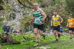 Dovedale Dash-929