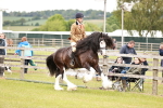 SBM_06124