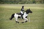 BVHT 140517  NXC -46