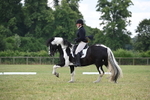 WJ6_6643